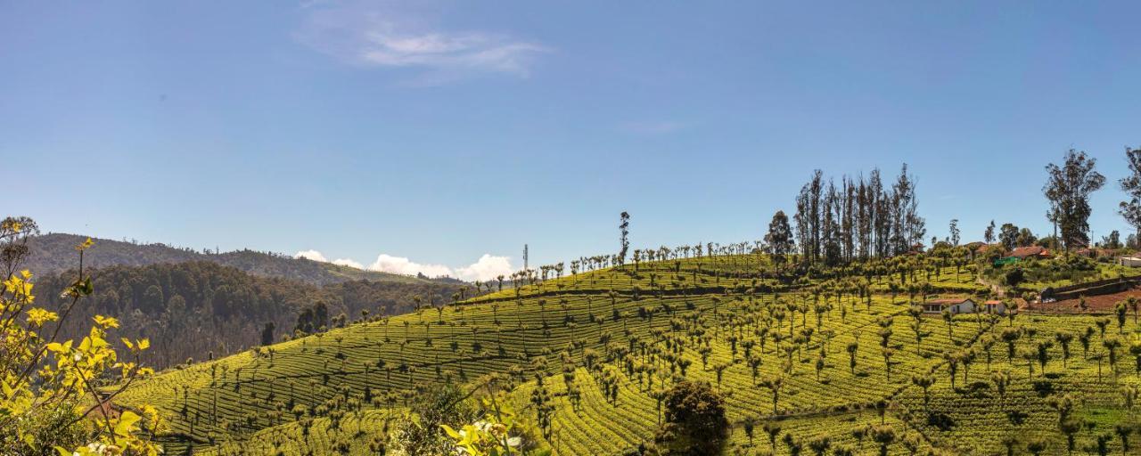 Club Mahindra Derby Green, Ooty Exteriör bild